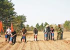 ����Ա���屣����