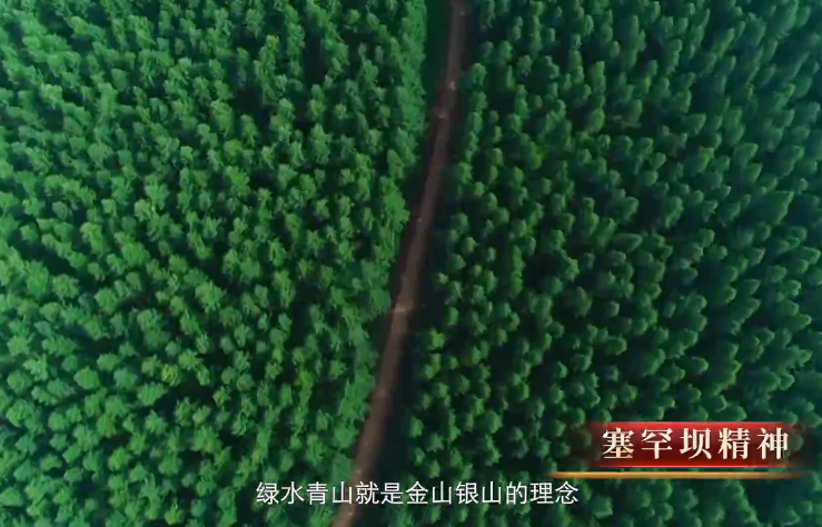     塞罕坝精神讲述人：佳宏伟    
