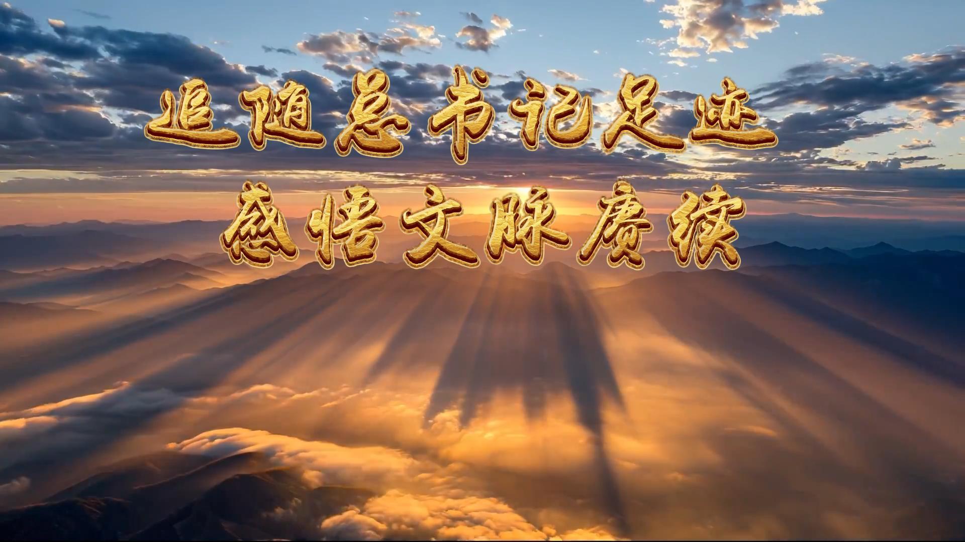学习在理丨追随总书记足迹 感悟文脉赓续